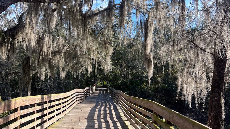 Verayea Exploring Nature at Alderman’s Ford Conservation Park, Florida - Verayea