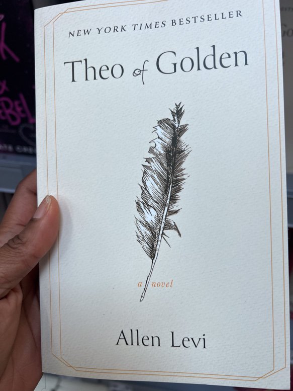 Theo of Golden by Allen Levi Book Review - Verayea